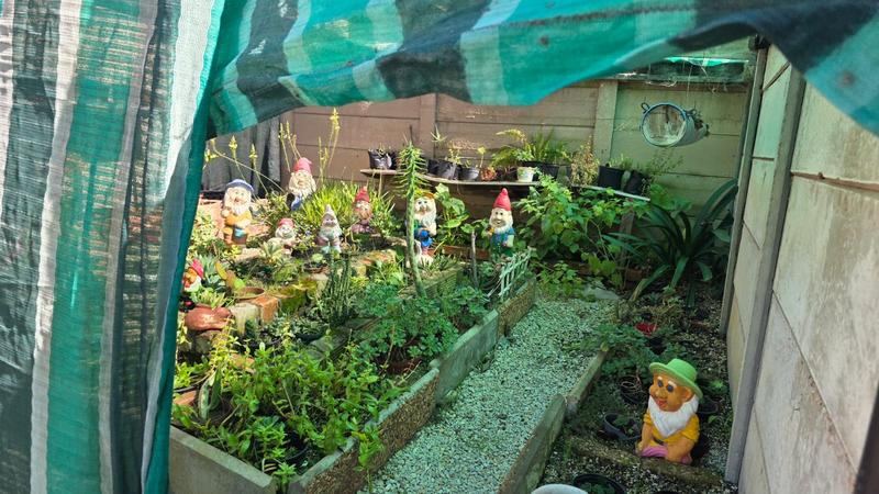 3 Bedroom Property for Sale in Albertinia Western Cape